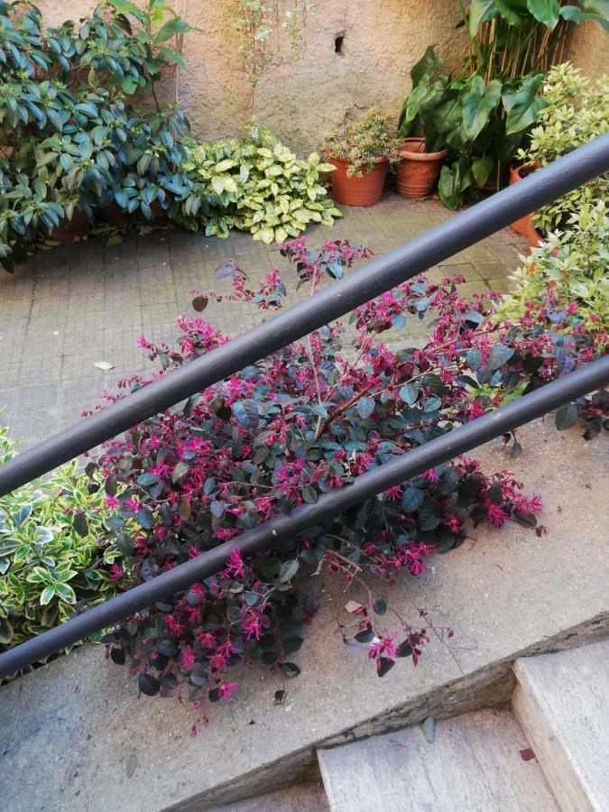 Tra Gianicolo E Trastevere Rom Exteriör bild