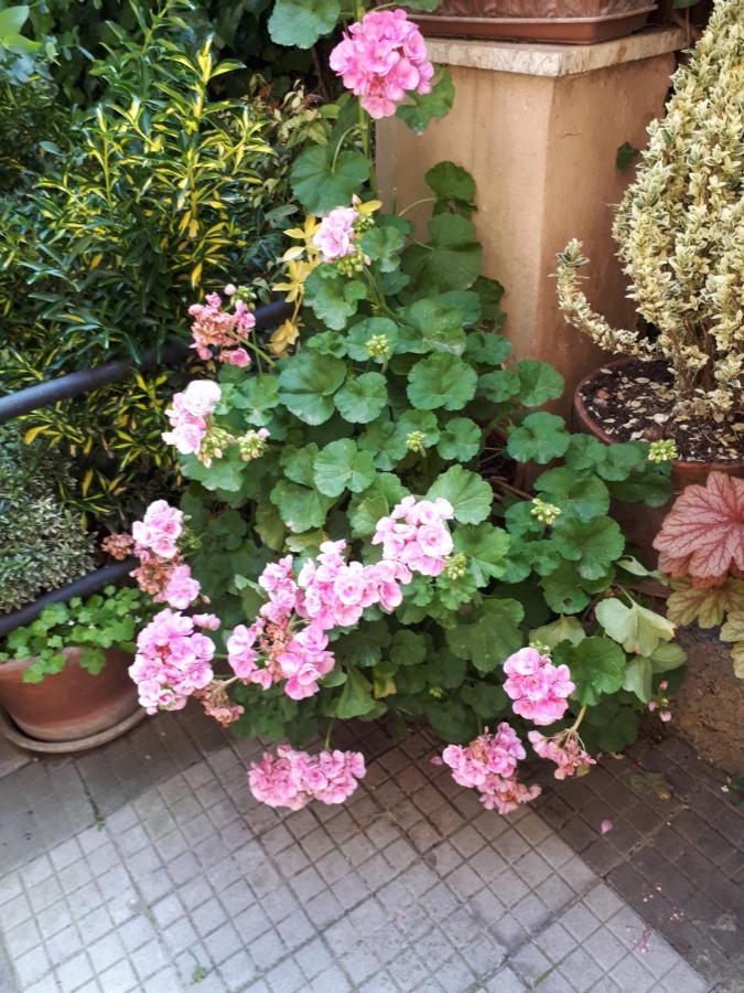 Tra Gianicolo E Trastevere Rom Exteriör bild